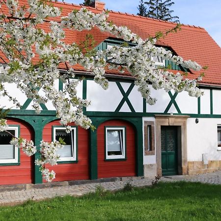 Ferienwohnung In Kurort Jonsdorf Mit Terrasse, Grill Und Garten Buitenkant foto