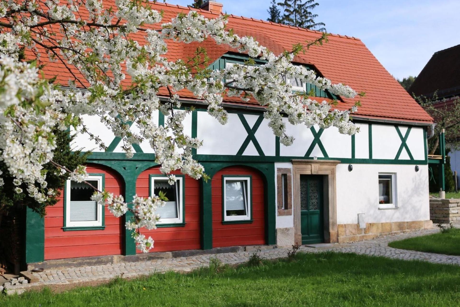 Ferienwohnung In Kurort Jonsdorf Mit Terrasse, Grill Und Garten Buitenkant foto